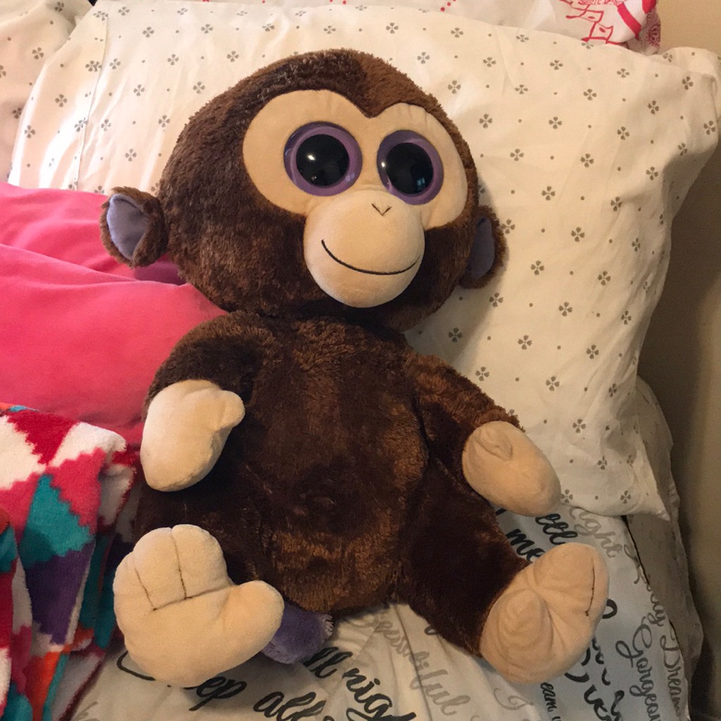 Cute Monkey